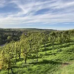 Rueckzugsort An Der Mosel شقة إيديغير إيلير