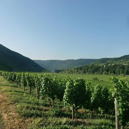 Rueckzugsort An Der Mosel