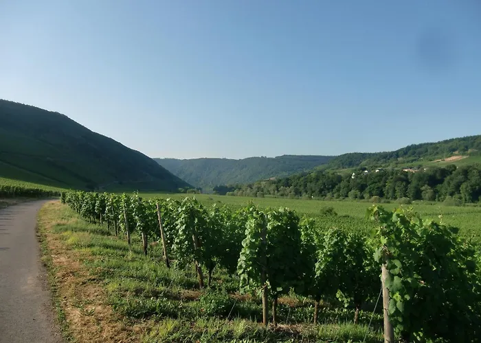 Moselle River Retreat