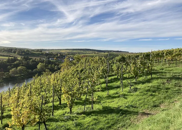 Moselle River Retreat 公寓 埃迪格尔-埃莱尔